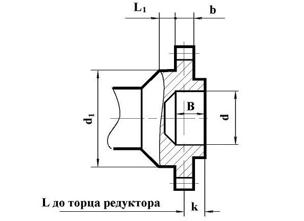 Размеры выходного вала в виде зубчатой муфты