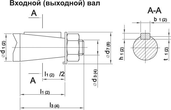 Входной(выходной) вал редуктора Ц3У250